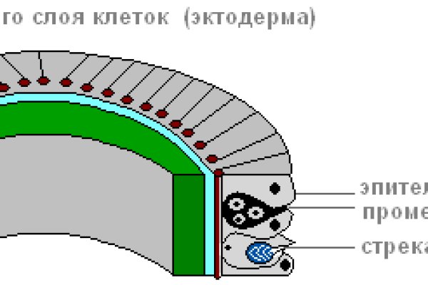 Кракен маркетплейс ссылка тг