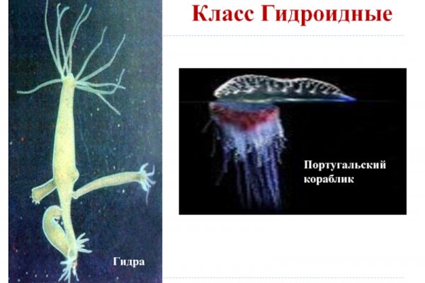 Ссылка кракен не работает
