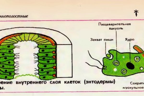 Кракен нар