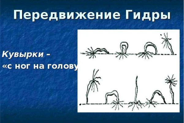 Ссылка на кракен тг