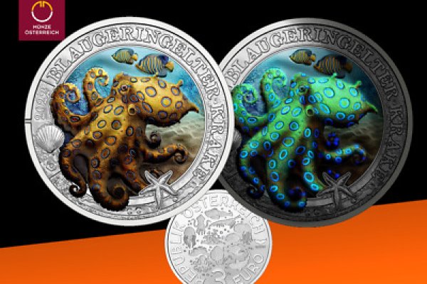 Kraken20 at