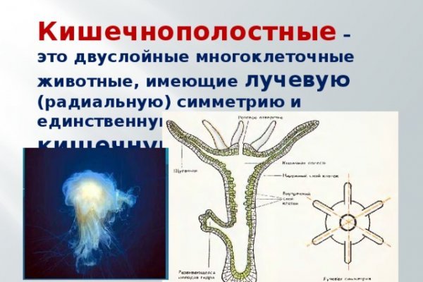 Кракен 2024 сайт